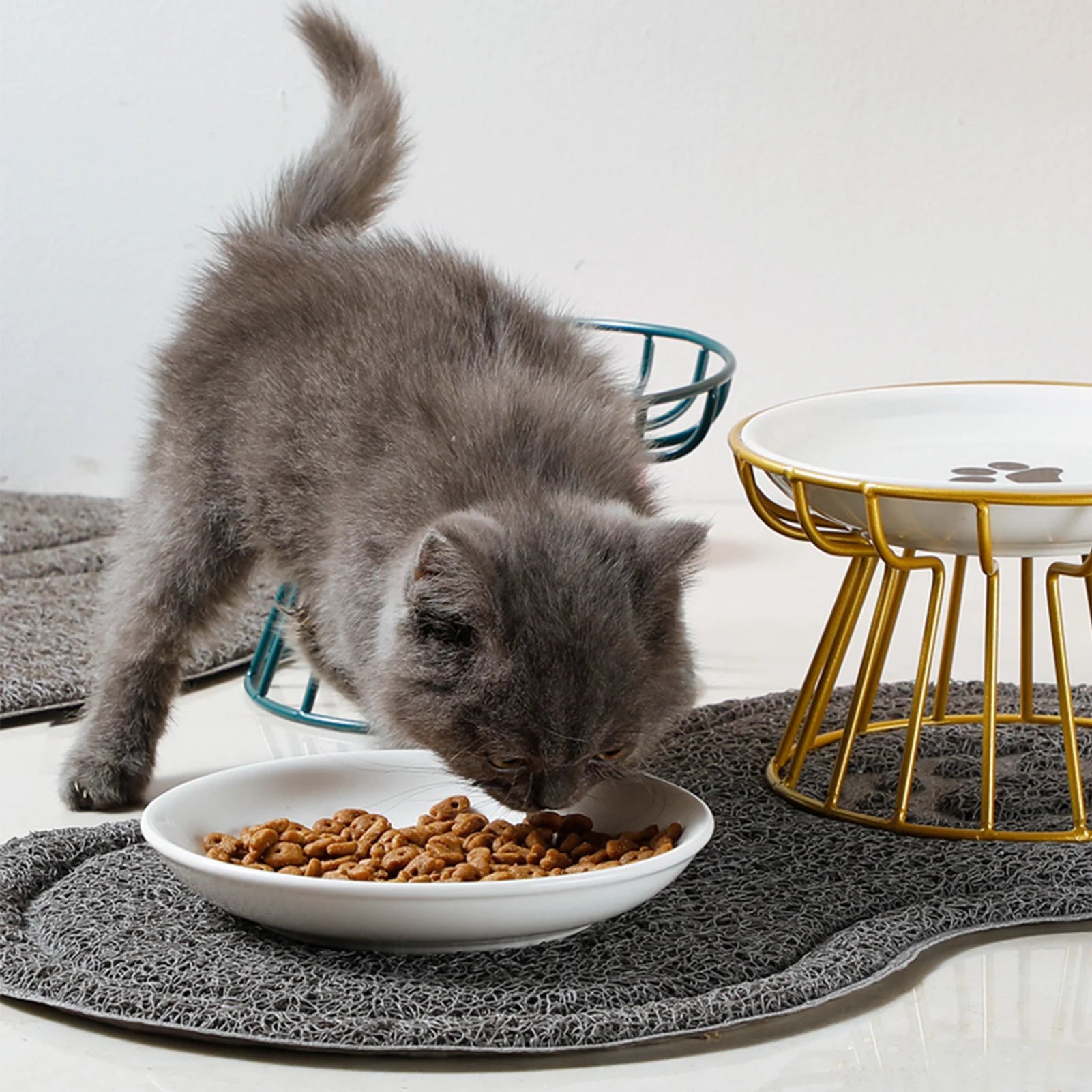Ceramic Raised Pet Bowl